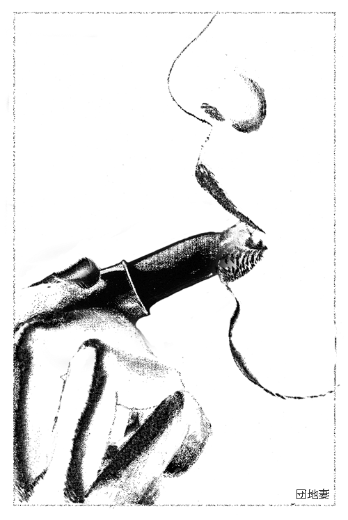 ミステリー,挿画,永嶋恵美作,高塚由子画,団地妻