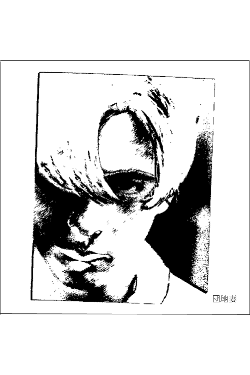 ミステリー,挿画,永嶋恵美作,高塚由子画,団地妻
