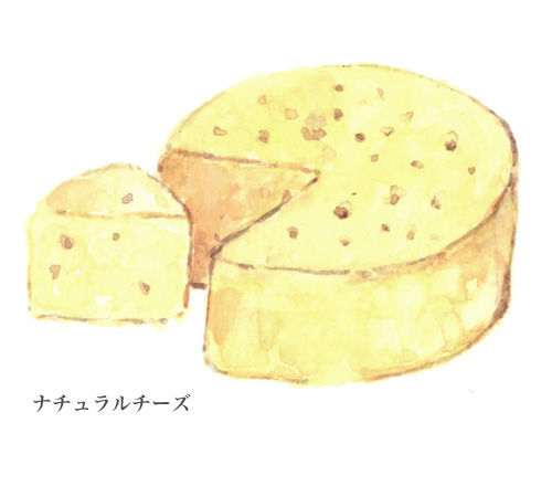水彩画,食材,ナチュラルチーズ,チーズ,十勝,乳製品,ミシュラン,北海道,画像24,