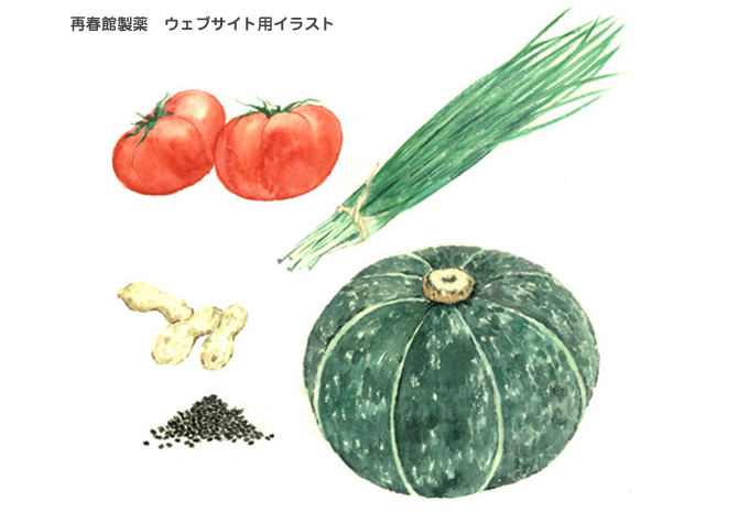 水彩画ギャラリー 野菜の数々を掲載 高塚由子の食材 食べ物 素材集