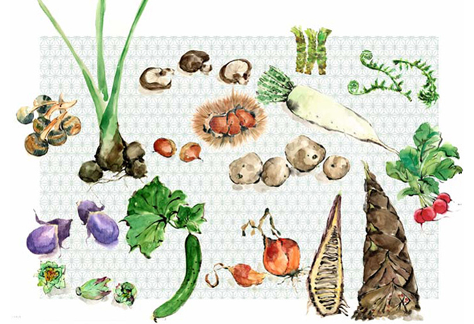 水彩画ギャラリー 野菜の数々を掲載 高塚由子の食材 食べ物 素材集